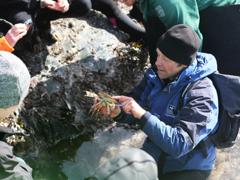 Cornwall Wildlife Trust's Marine Conservation Officer Matt Slater leading a rockpooling event at Polzeath, Image by Mat Arney