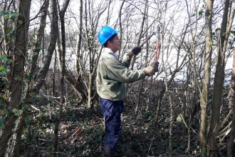 Wild Penwith volunteer Julian Little preparing to lay a tree, by Jason Appleby