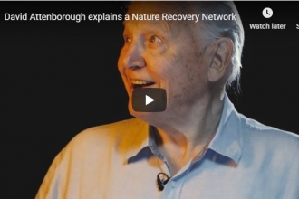 David Attenborough calls for a Nature Recovery Network