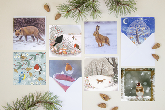 Cornwall Wildlife Trust Christmas Cards 2022
