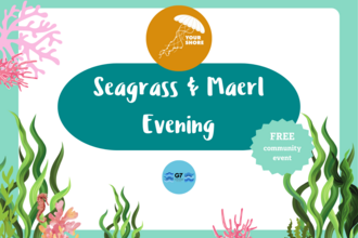 Seagrass and Maerl evening