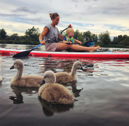 In the foreground, 3 swan cygnets huddle together. Behind, Helen sits on a paddleboard with her son between her legs and cruises down the river