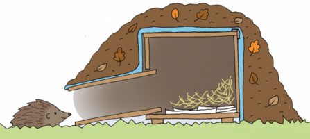 Illustration of a hedgehog and hedgehog home