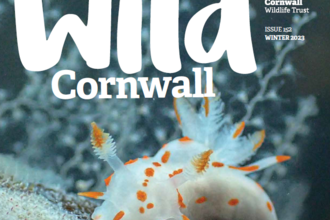 Wild Cornwall 152 Front page