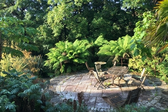 A stone courtyard with a table and chairs is surrounded by ferns and trees.