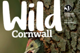 Wild Cornwall 153