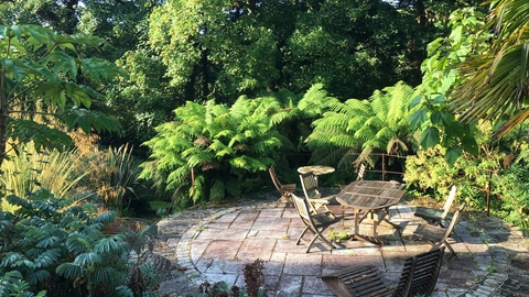 A stone courtyard with a table and chairs is surrounded by ferns and trees.
