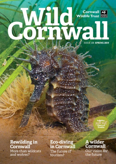 Wild Cornwall - Issue 138 - Spring 2019